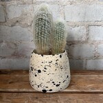 Vicky Makes Things Vicky Makes Ceramics Black Splash 3.5"
