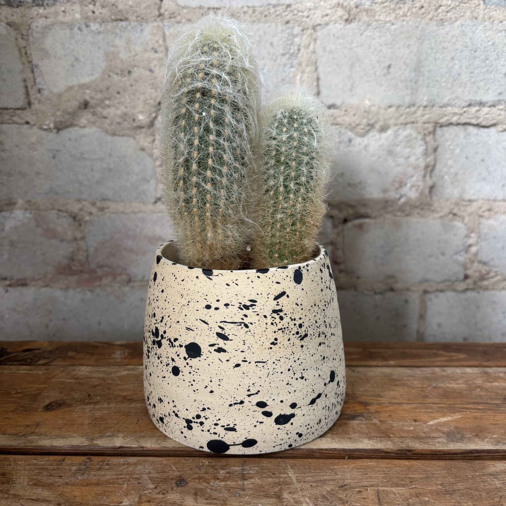Vicky Makes Ceramics Black Splash 3.5"