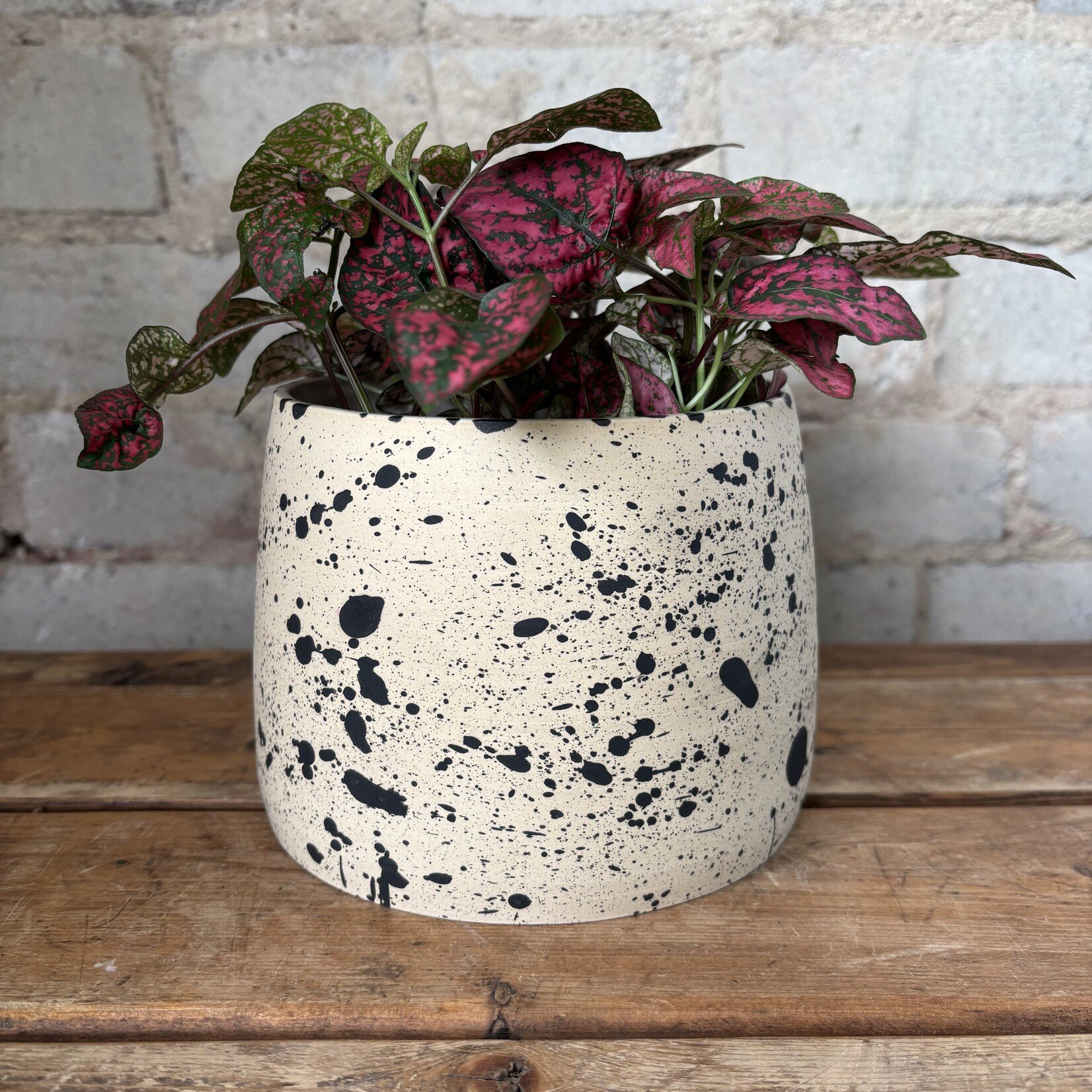 Vicky Makes Things Vicky Makes Ceramics Black Splash 5"