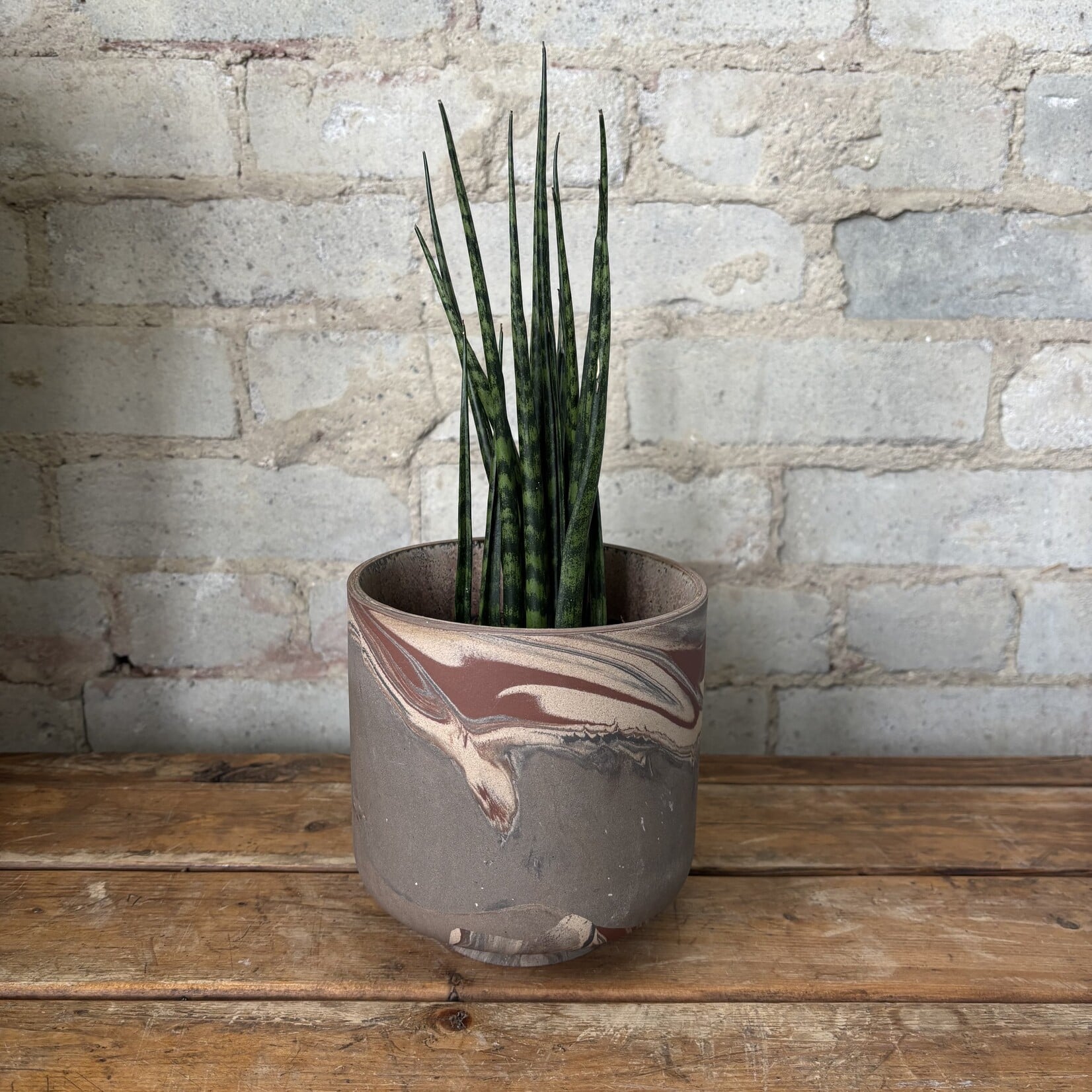 Tedros Pot (fits 5")
