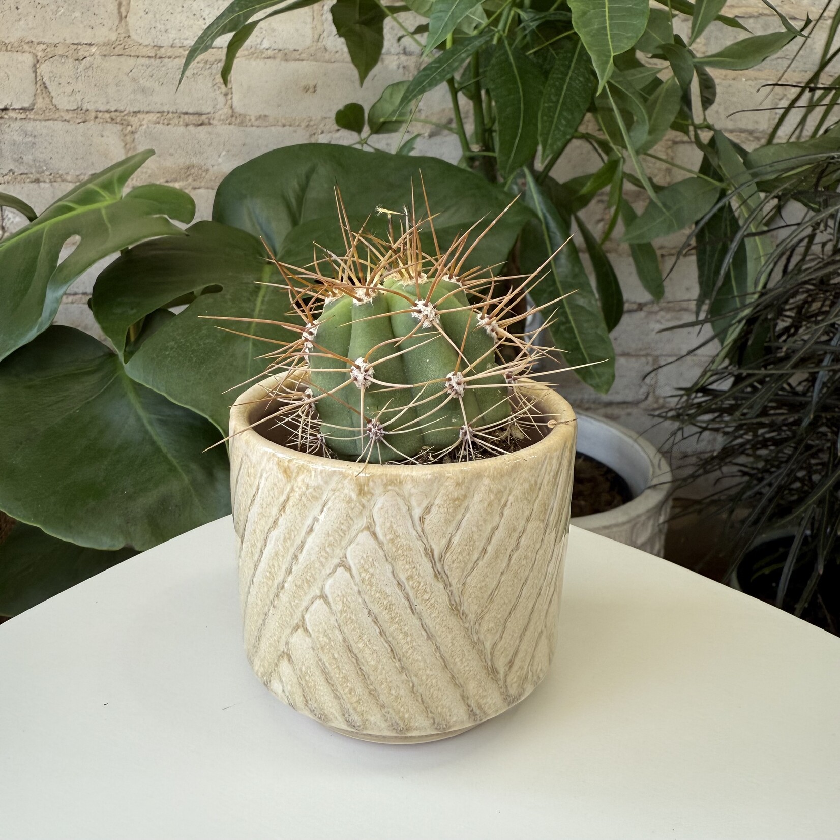 Assorted Pots Vintage Pot (fits 3")
