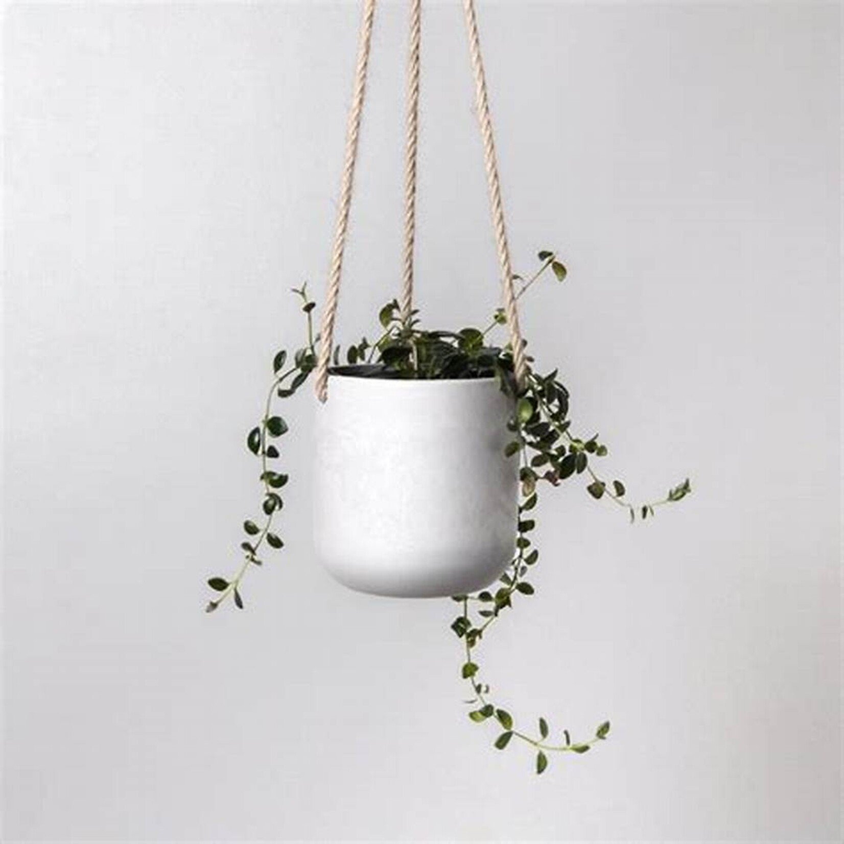 Kanso Designs Hanging Planter by Kanso - Stone (fits 4")