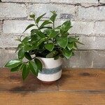 Lipstick Mona Lisa 4"