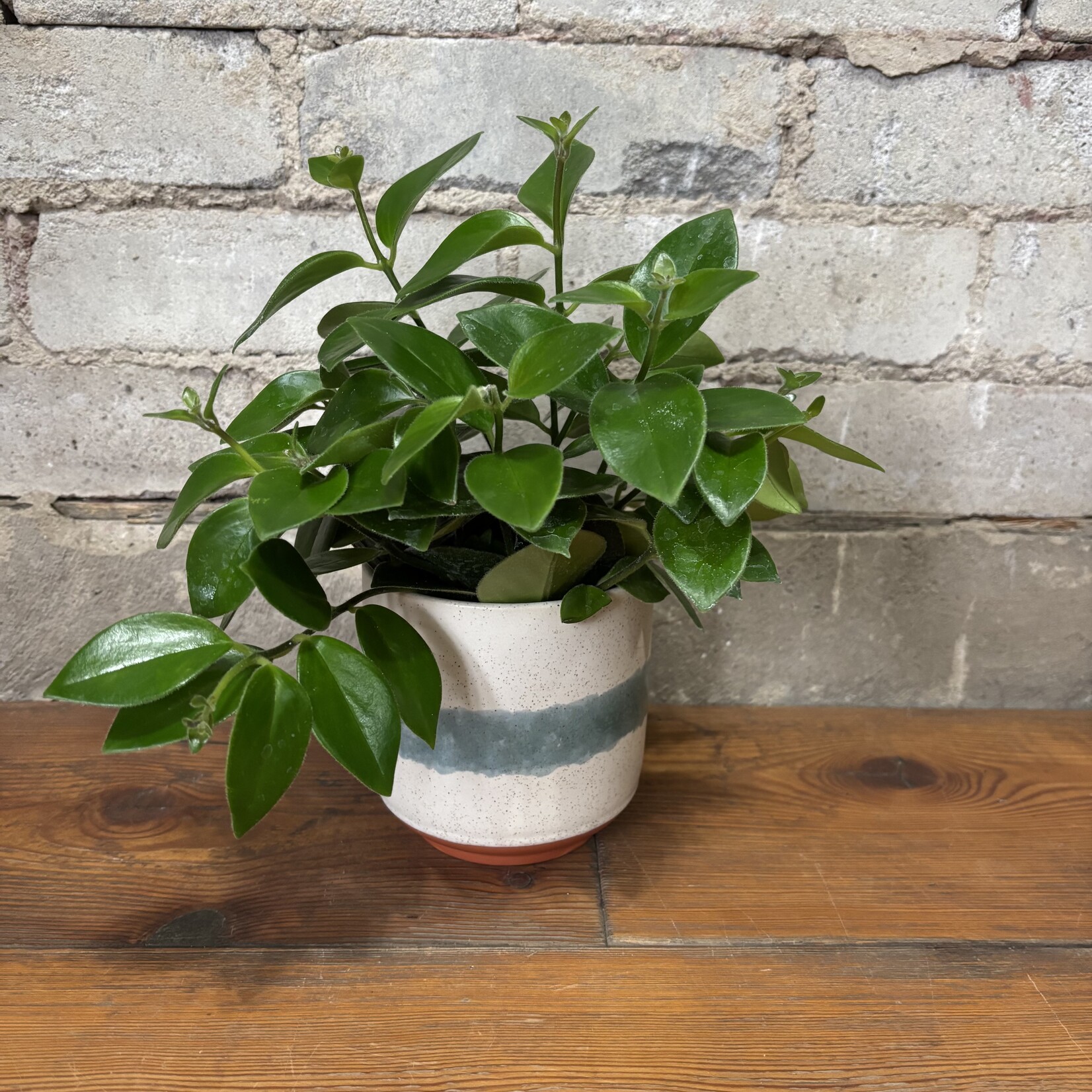 Lipstick Mona Lisa 4"