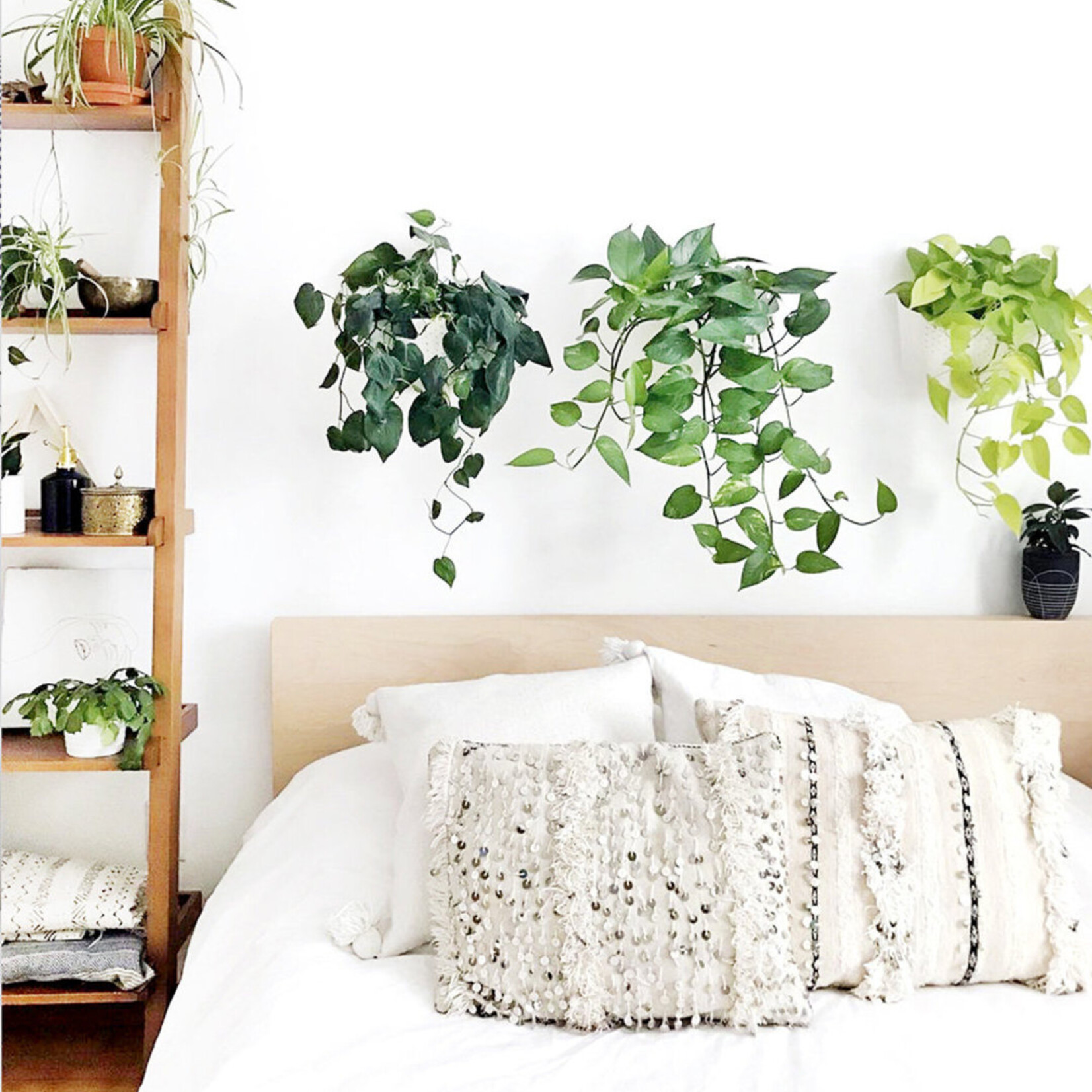 Wallygrow Eco Wall Planter
