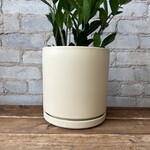 Pots with Drainage 8 - 9"