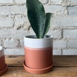 Pots with Drainage 3.5 - 5"