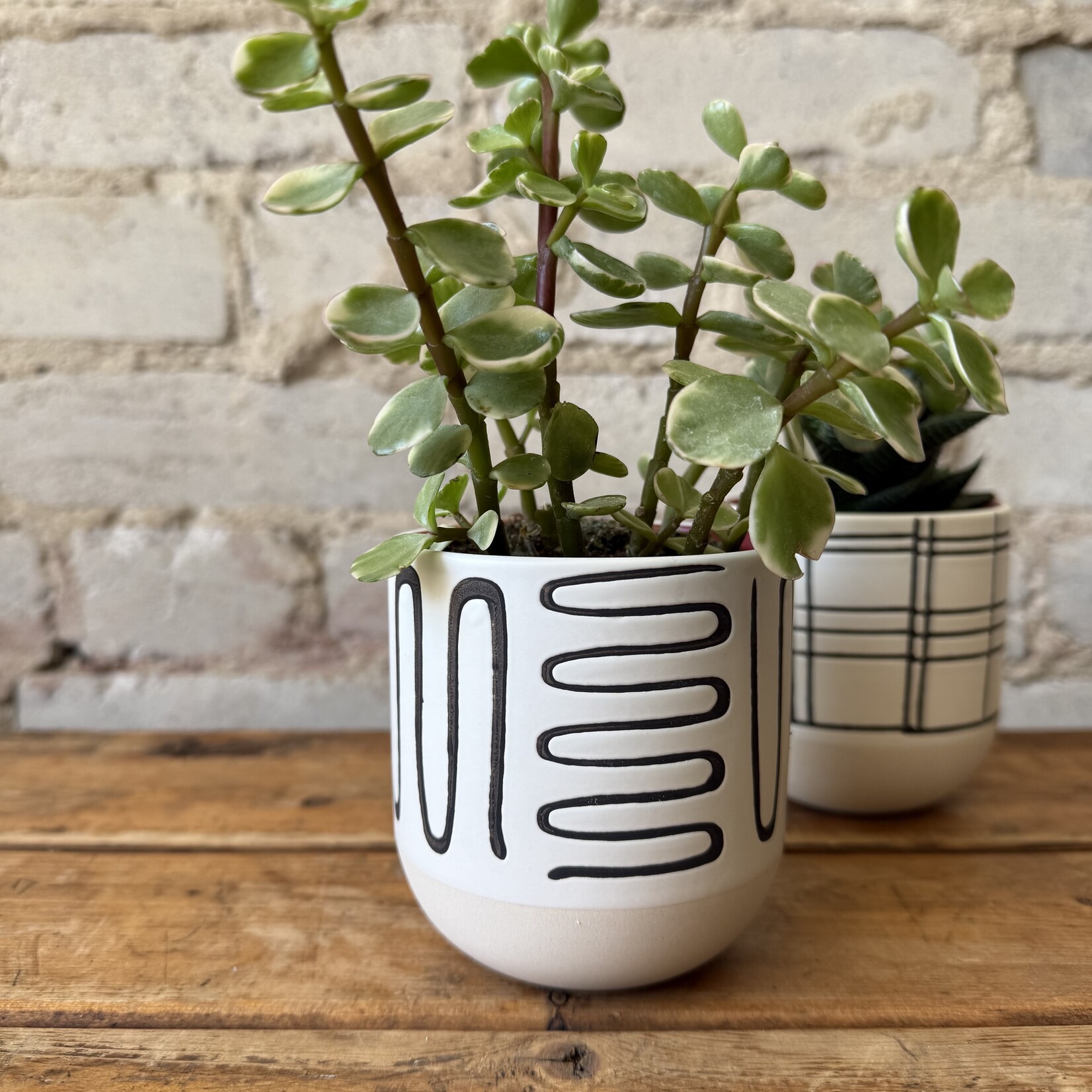 Assorted Pots Merrick Pot Winding (Fits 3")