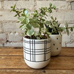 Assorted Pots Merrick Pot Plaid (Fits 3")