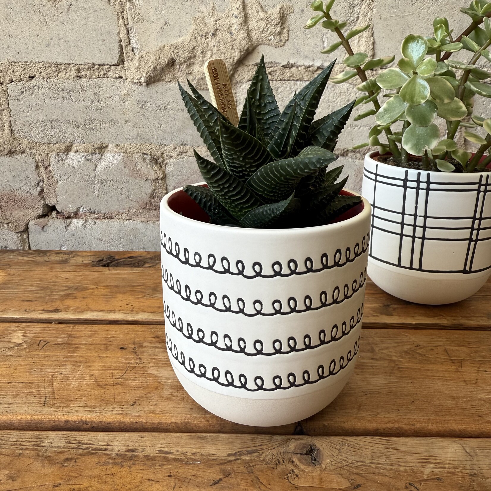 Assorted Pots Merrick Pot Curlicue (Fits 3")