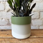 Assorted Pots Lauris Pot (fits 4")