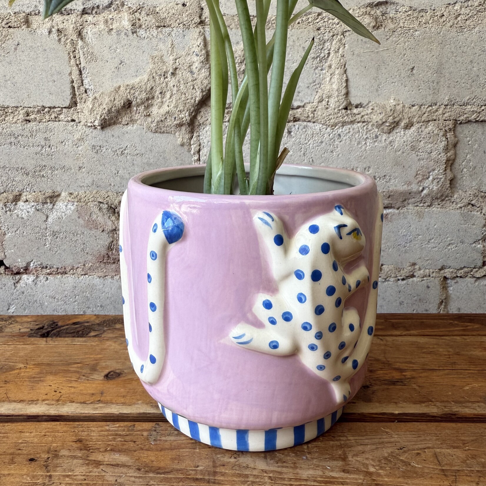 Assorted Pots Wild Tails Pot (fits 4")