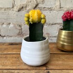 Tegan Pot White (fits 2.5")