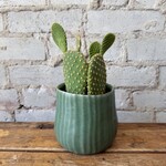 Palmero Pot (fits 4")