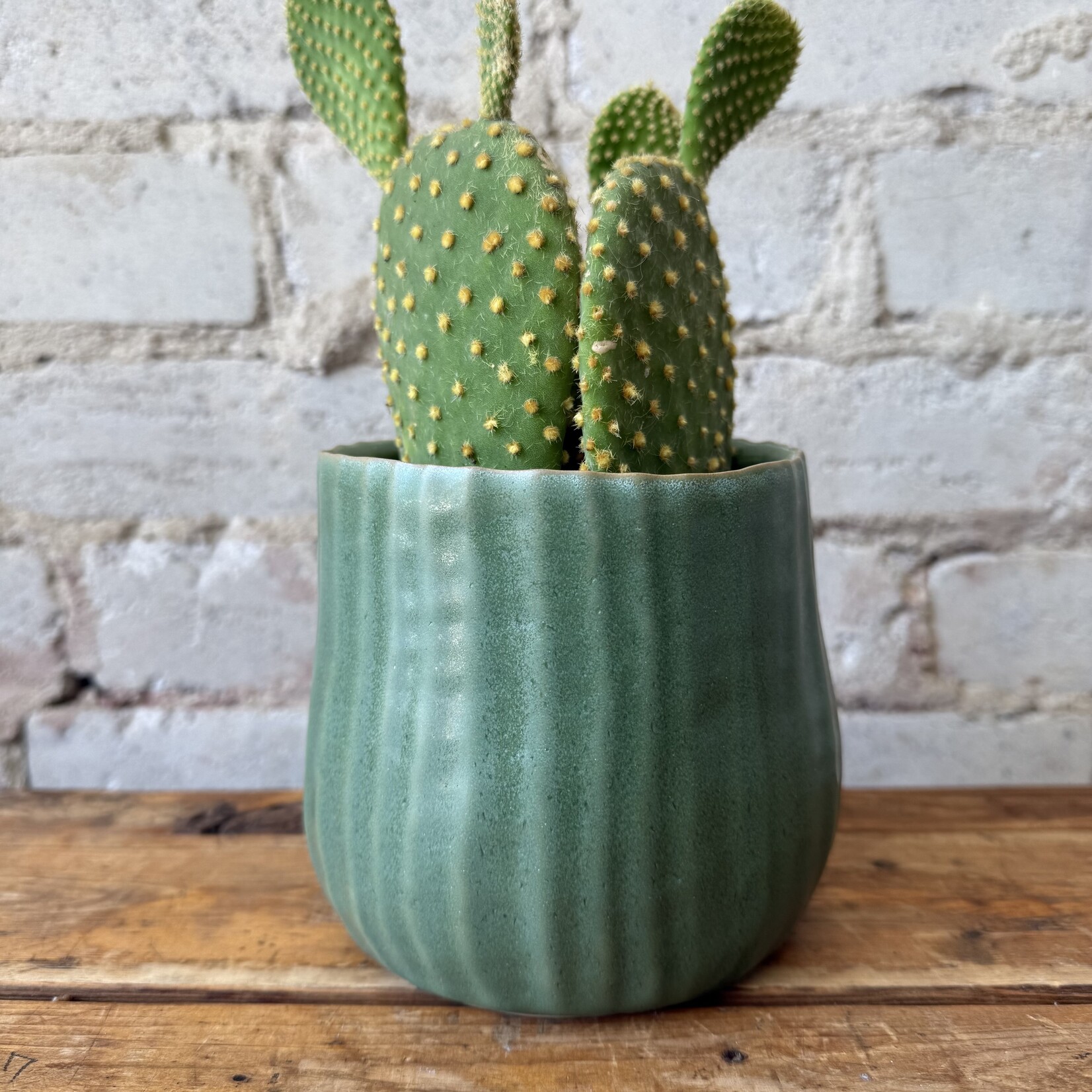 Palmero Pot (fits 4")