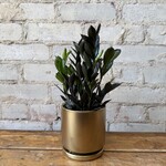 Momma Pots - Gold 4.5"