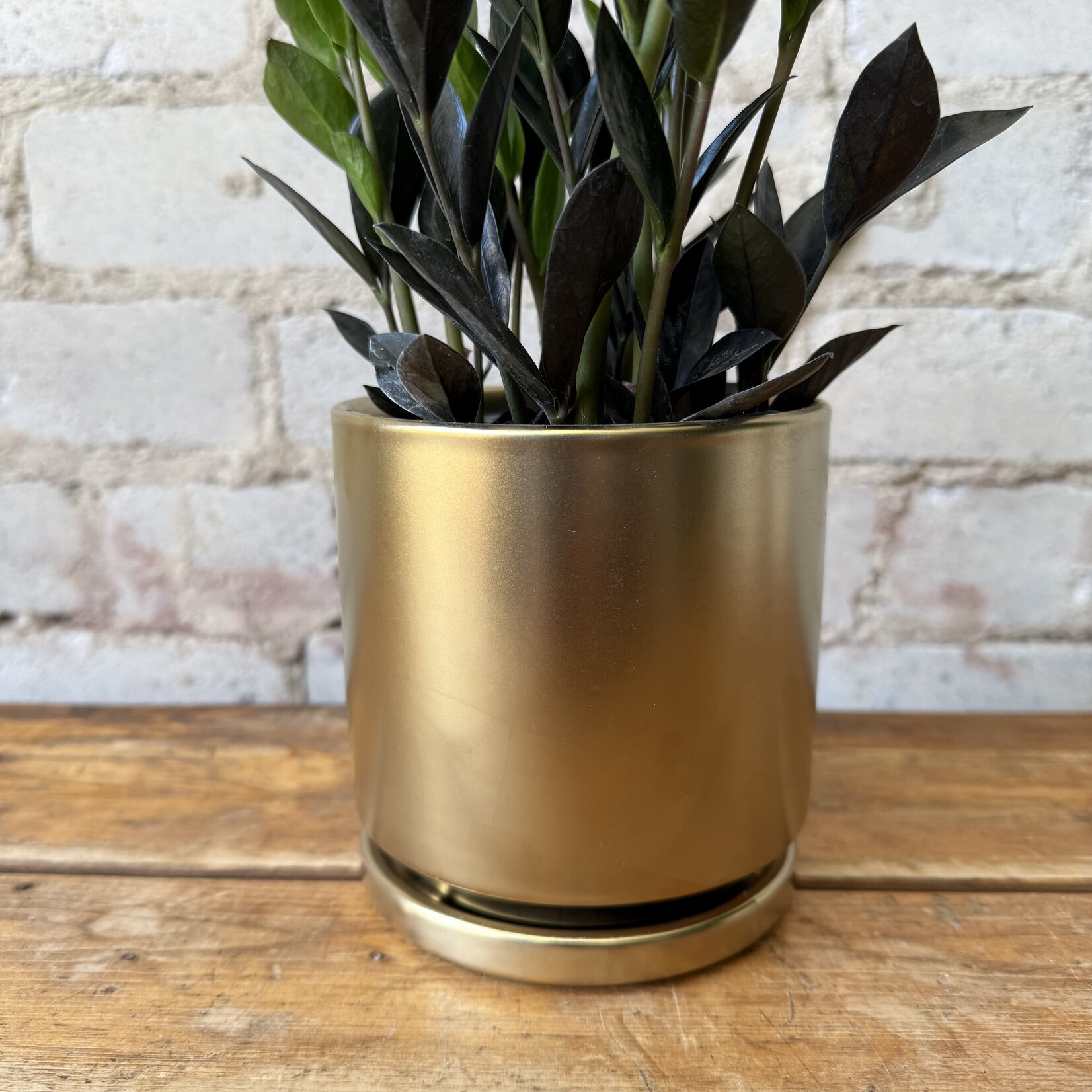 Momma Pots - Gold 4.5"