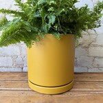 Momma Pots - Mustard 8.25"