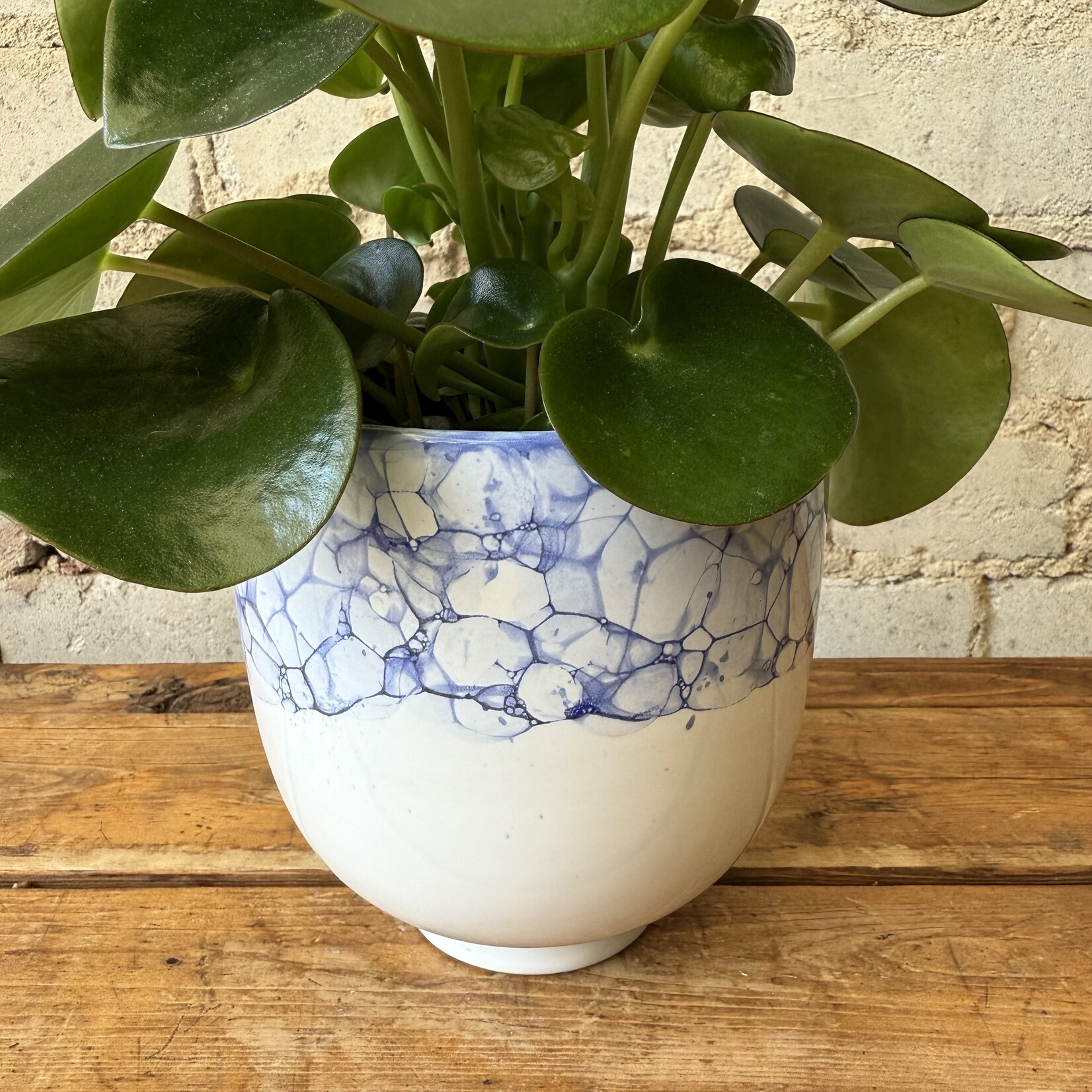 Ellory Pot (fits 5")