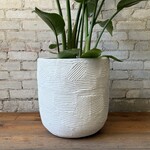 Assorted Pots Greta Pot Fits 13"