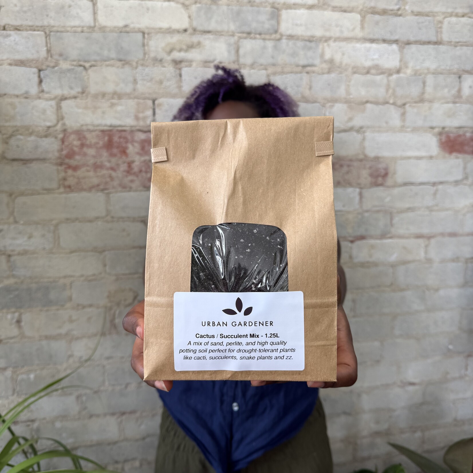 UG House Cactus Soil Mix (Small Bag - 1.25L)