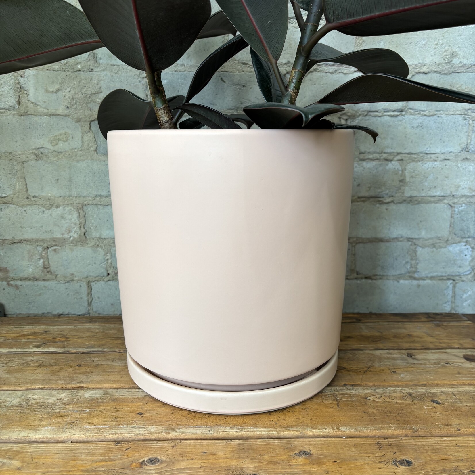 Momma Pots - Blush 10.25"