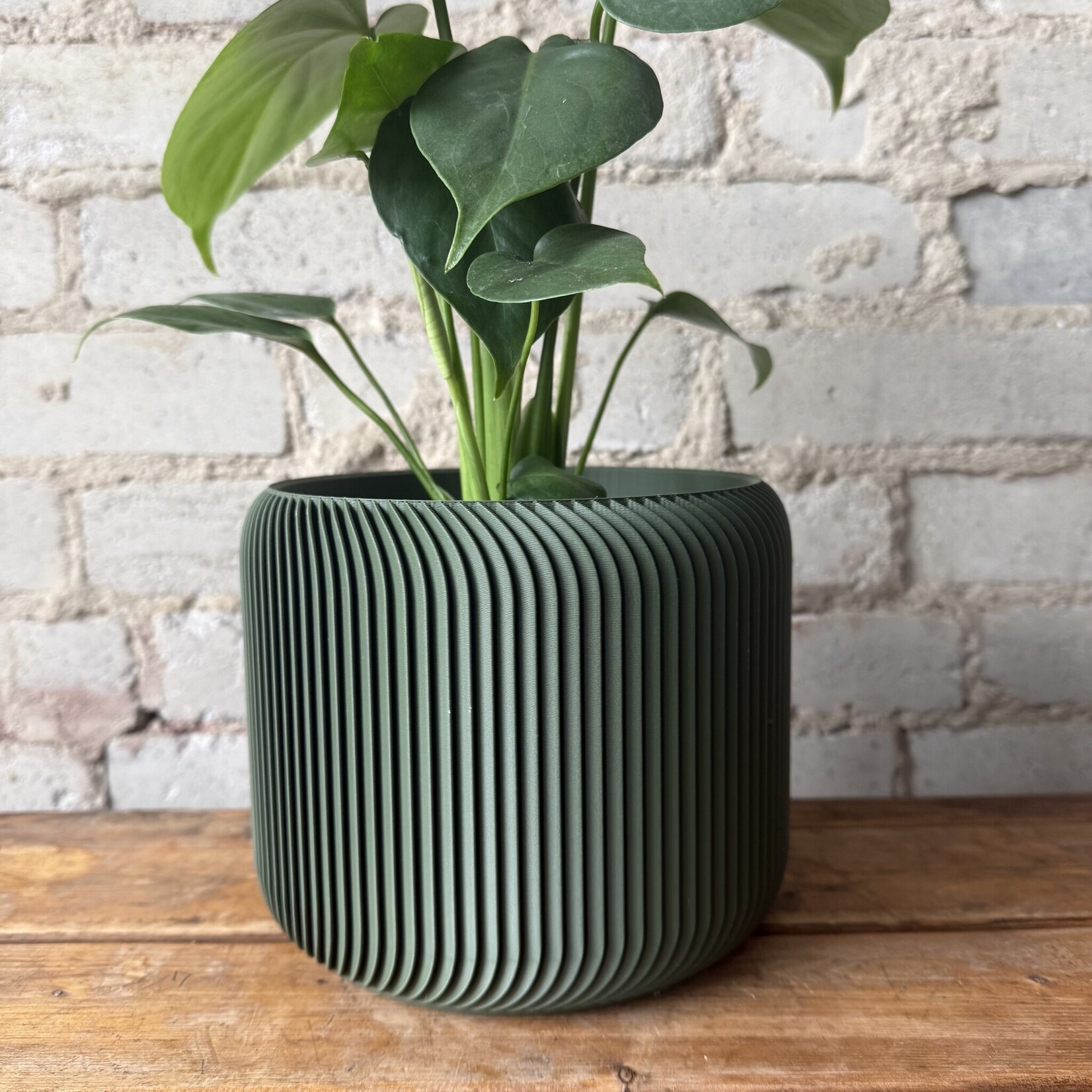Conifer 3D Conifer 3D - Pine Green 5"