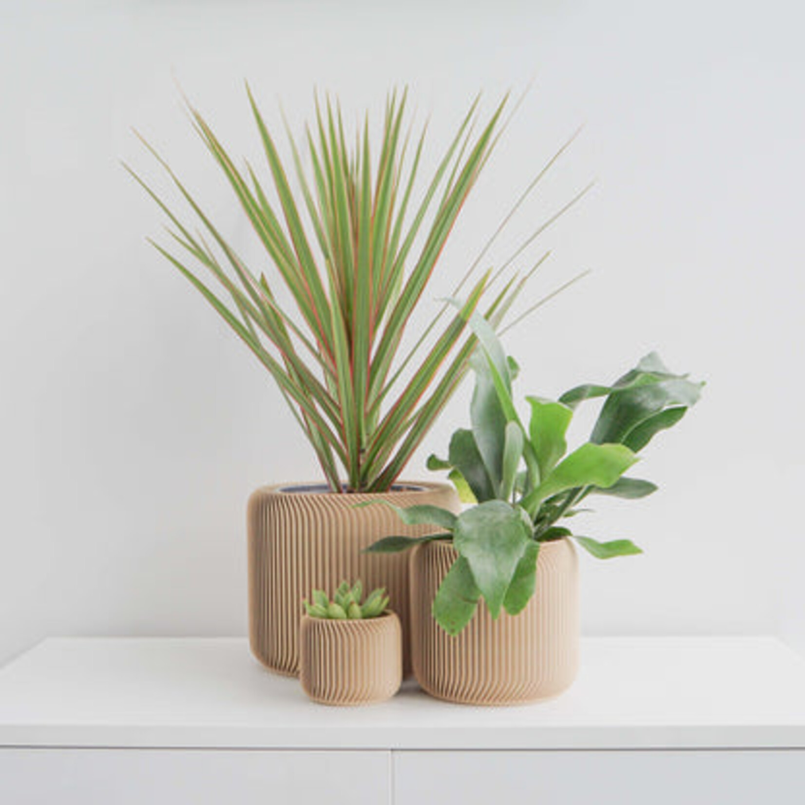 Conifer 3D Conifer 3D Pine - Sand 5"