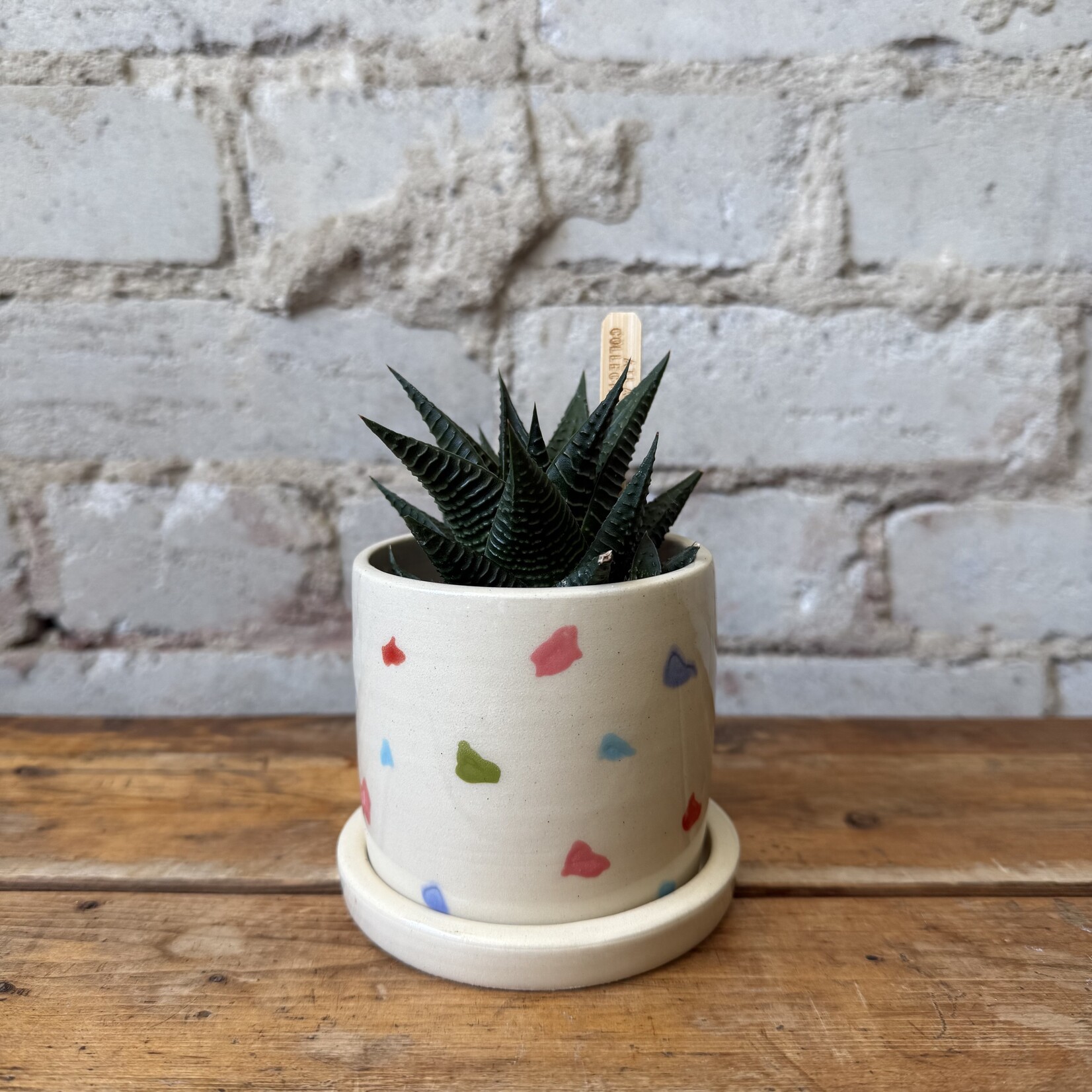 Nightshift Ceramics Nightshift Ceramics - Candy 3" (with saucer)