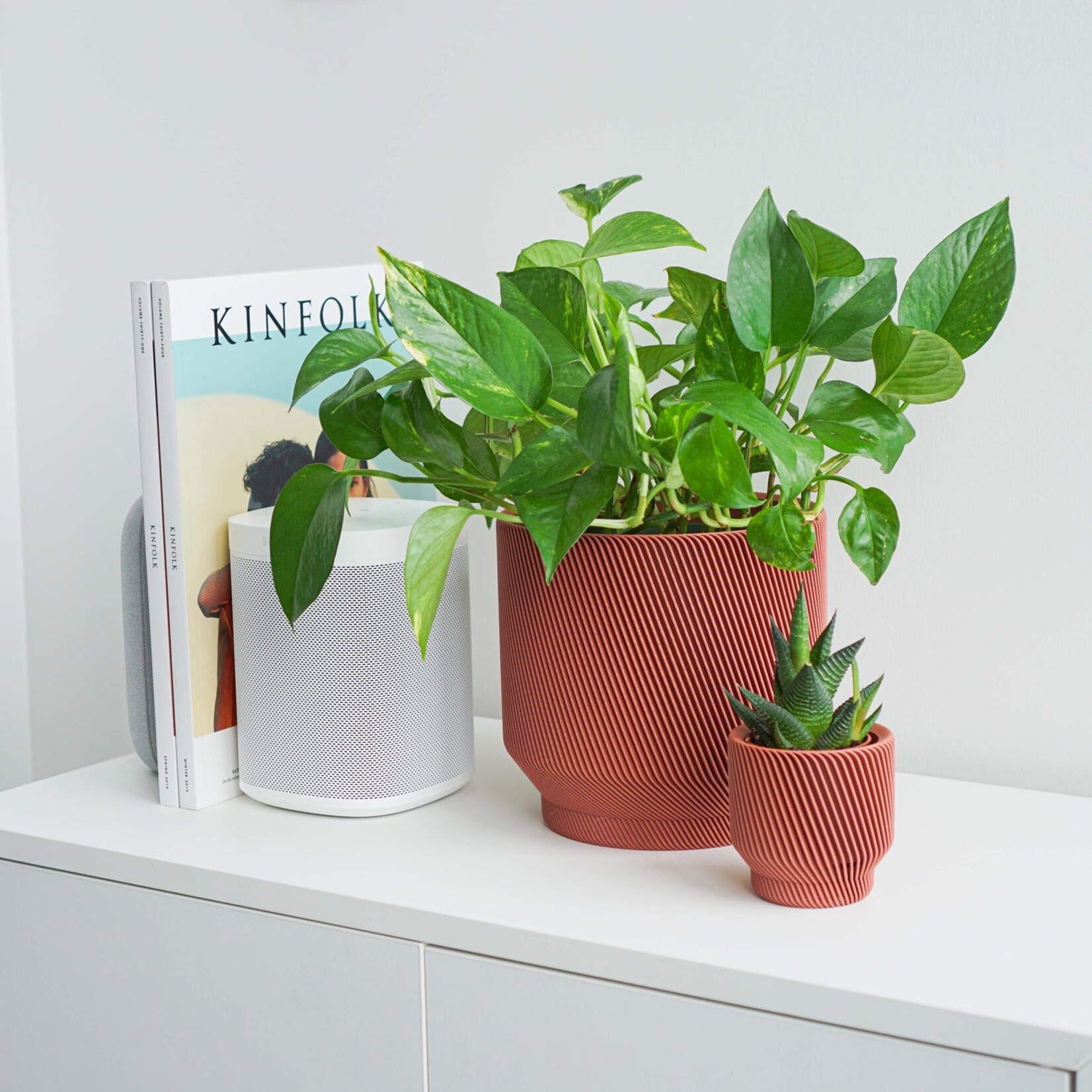 Conifer 3D - Spruce Rose 5"