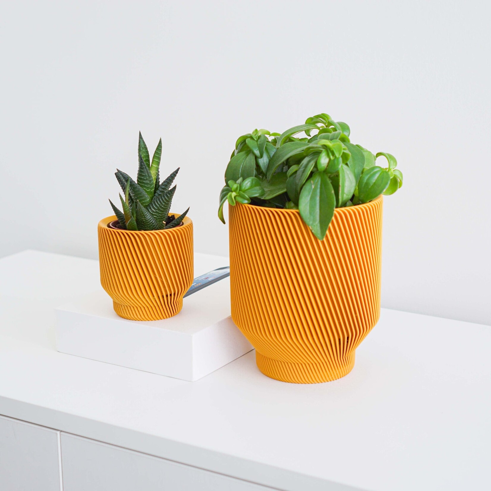 Conifer 3D - Spruce Mustard 6"