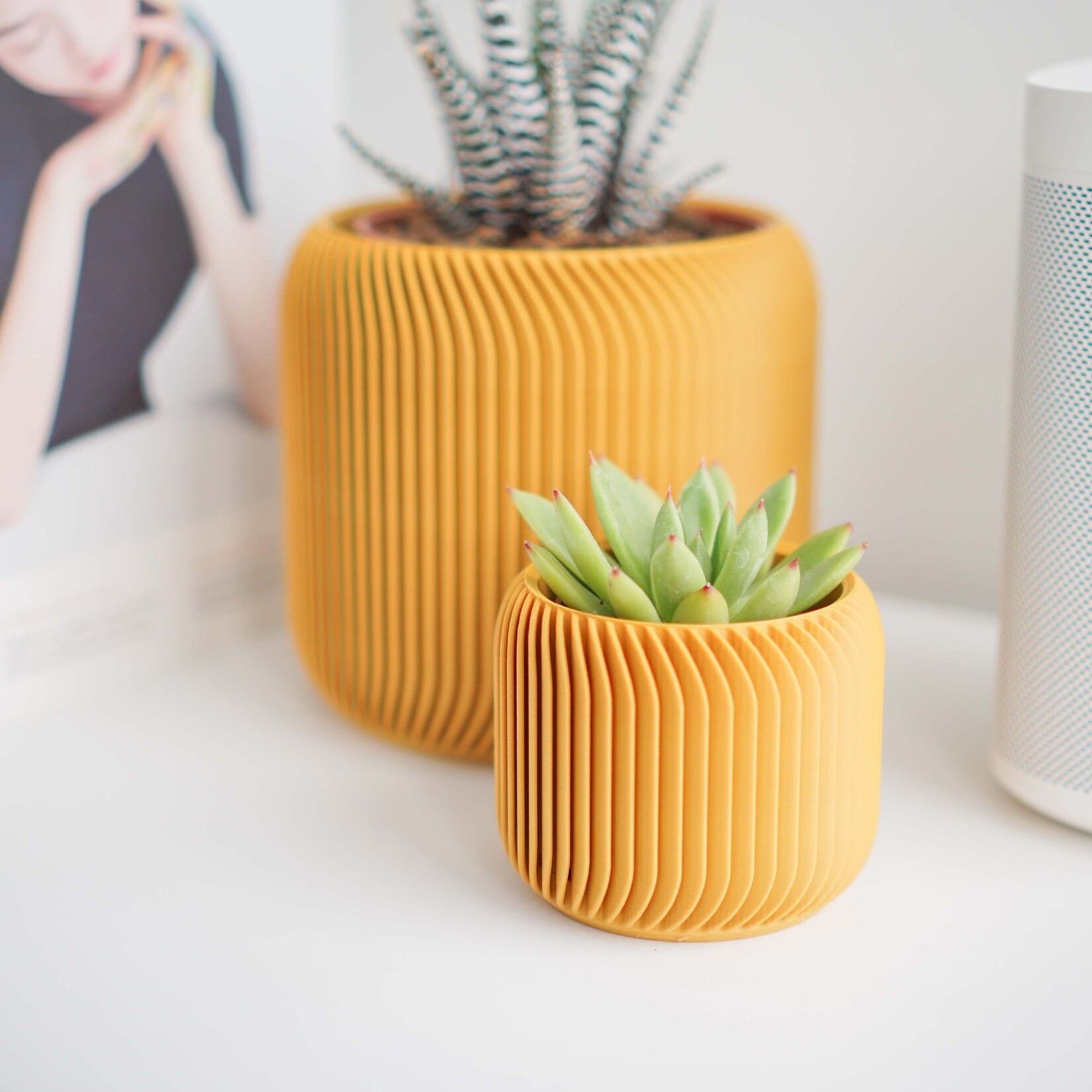 Conifer 3D Conifer 3D - Pine Mustard 5"