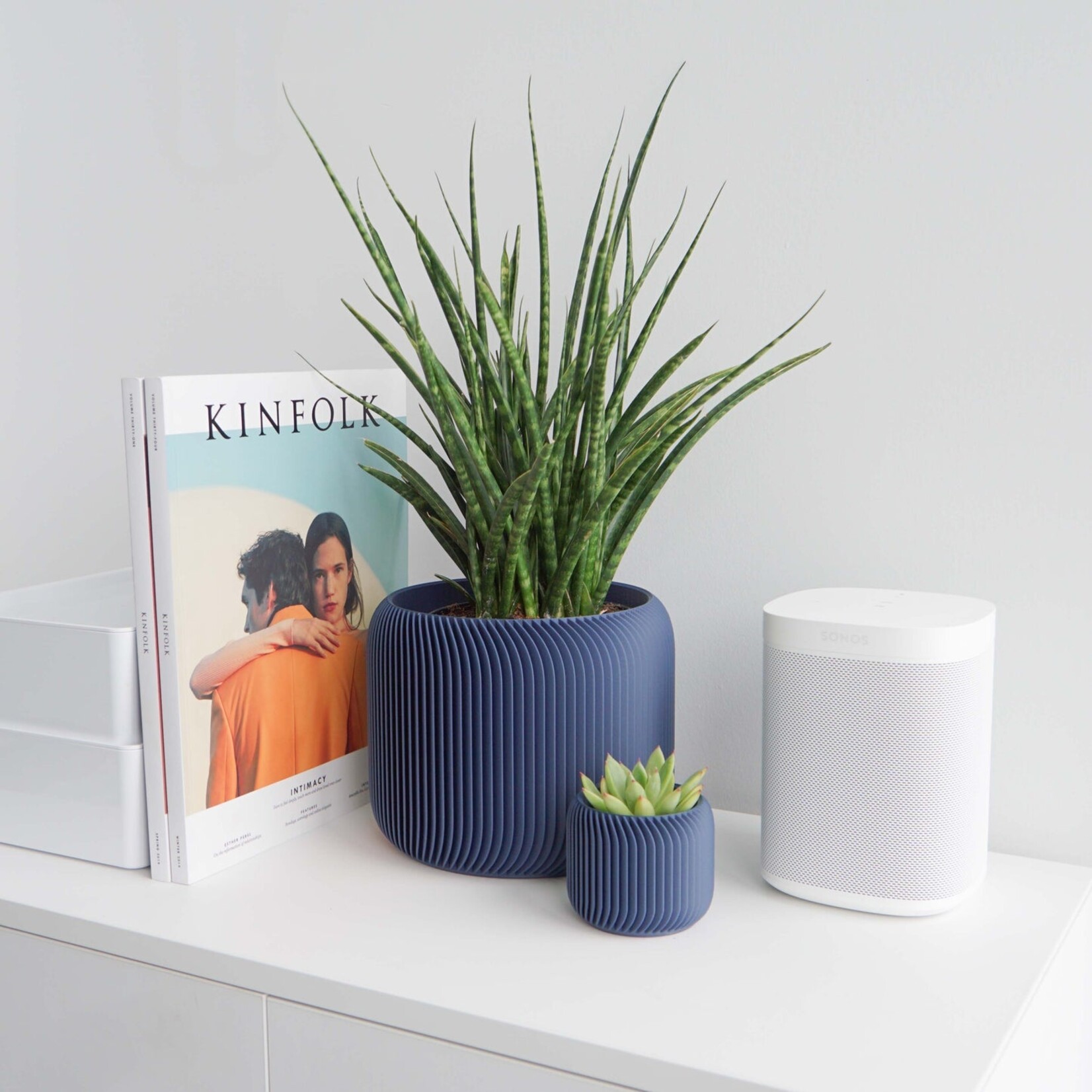 Conifer 3D Conifer 3D - Pine Blue 6"
