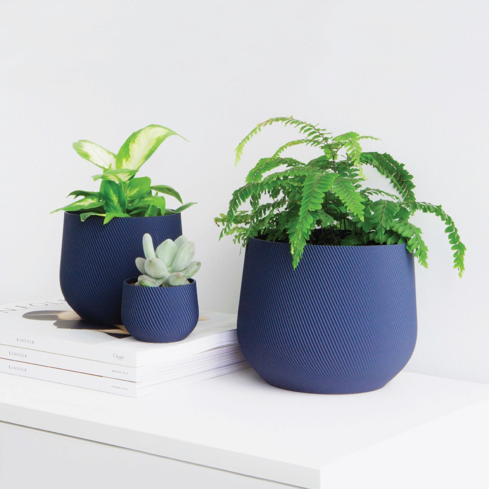 Conifer 3D Conifer 3D - Juniper Blue 6"