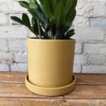 Kanso Designs 'Mustard Seed' Pot with Saucer (fits 6.5")