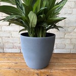 Dark Stone Pot (fits 10")