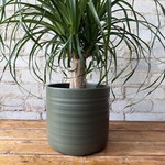 Assorted Pots Rita Pot Green (fits 7")