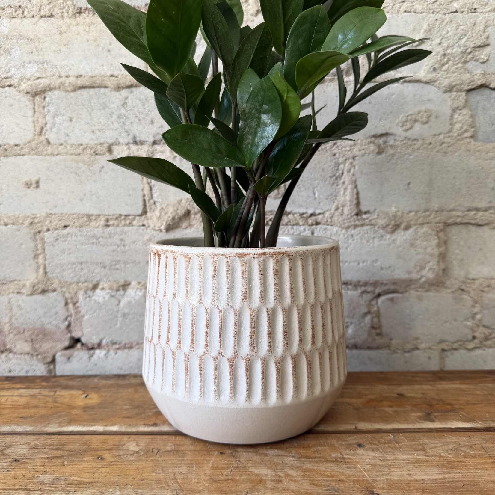 Assorted Alabaster Pot (fits 5.5")