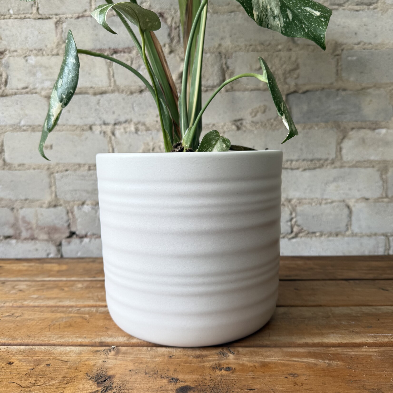 Assorted Pots Rita Pot 'Wool' (fits 7")