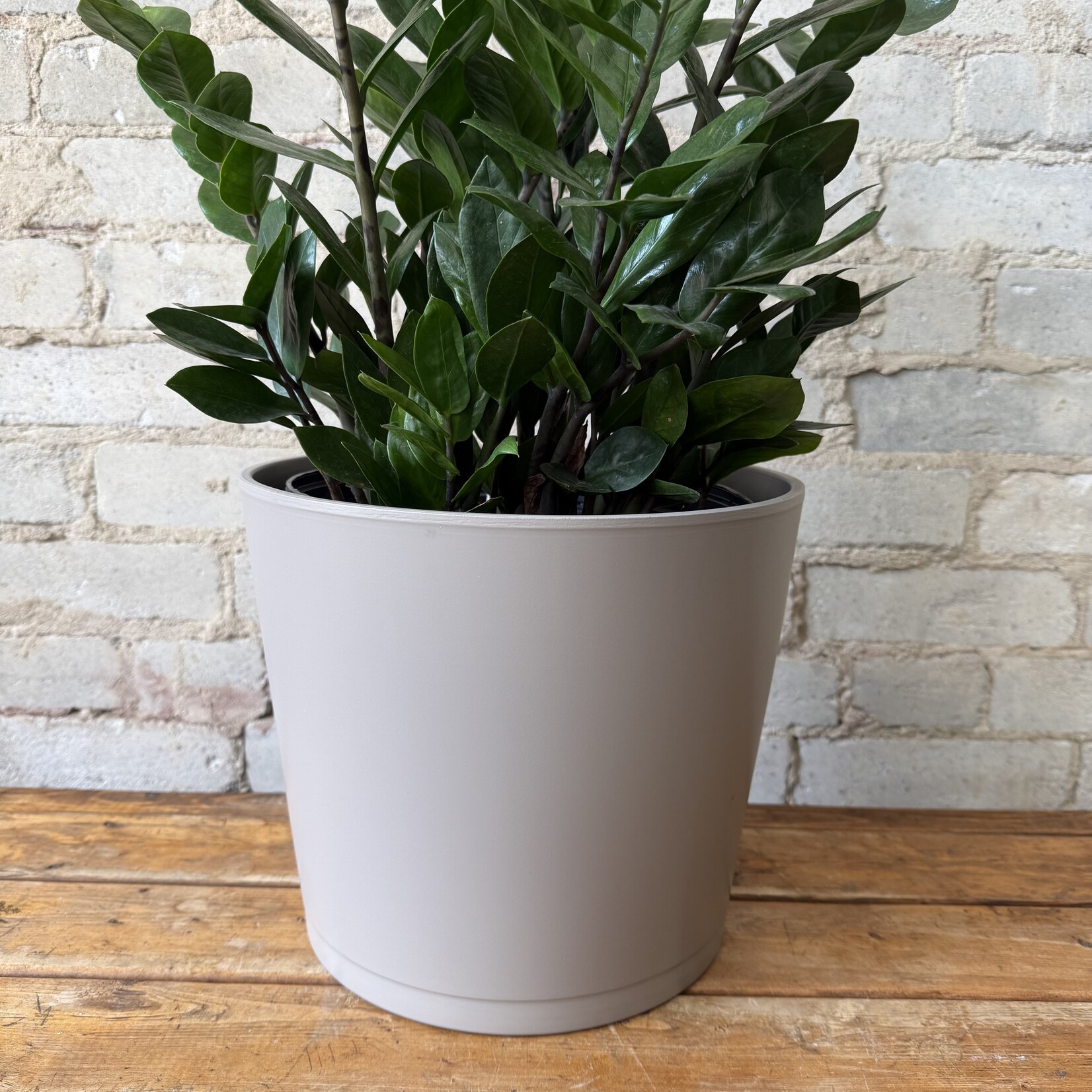 Assorted Pots Tapered Pot Taupe (fits 10")