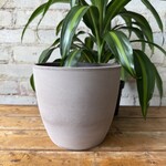 Assorted Pots Earth Pot (fits 6.5")