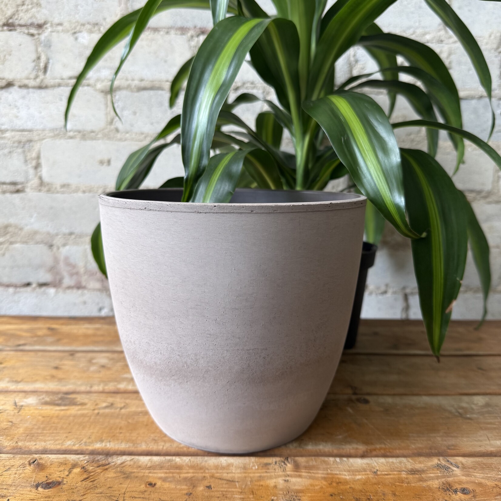 Assorted Pots Earth Pot (fits 6.5")