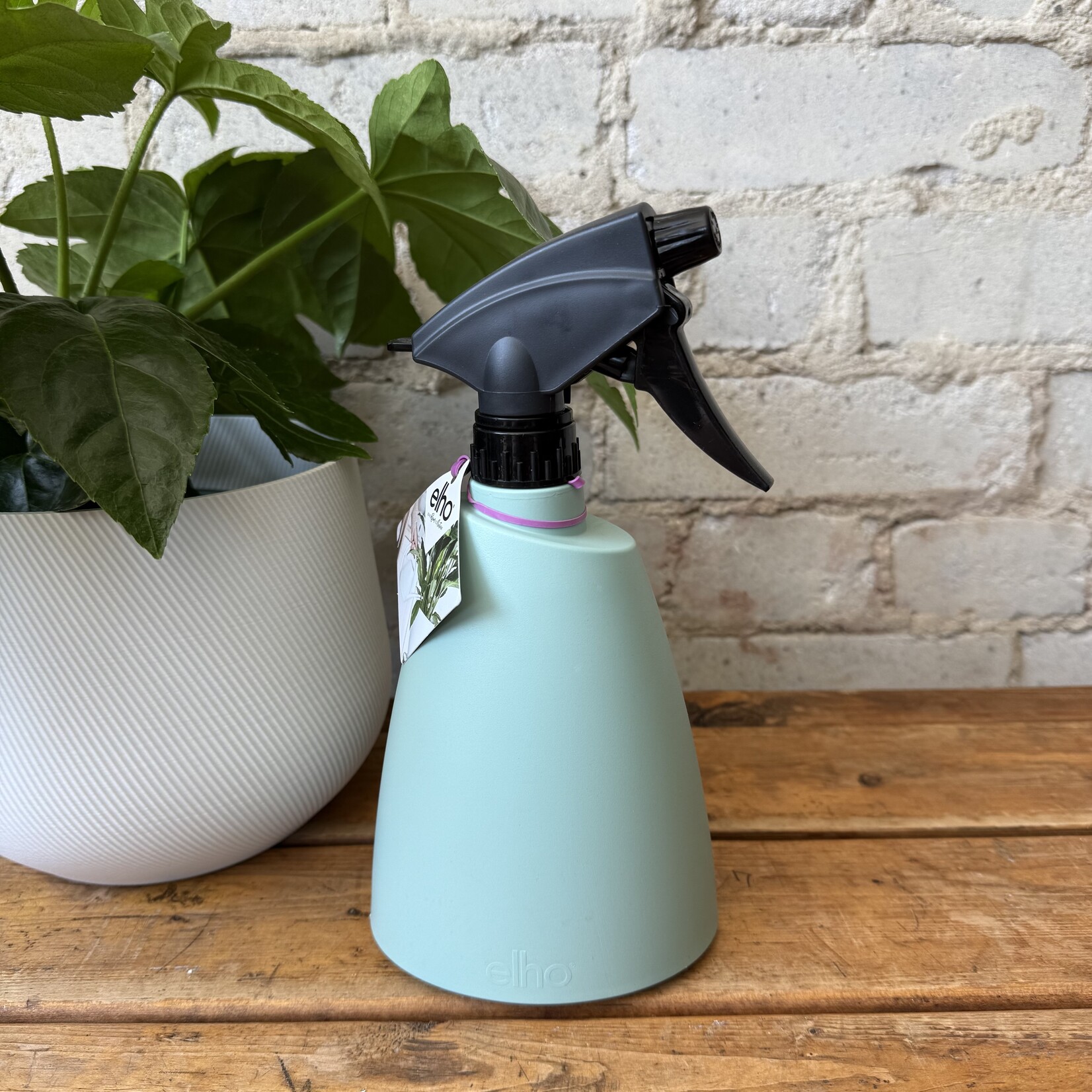 Elho Elho -Mister (Spray Bottle) Brussels Mint