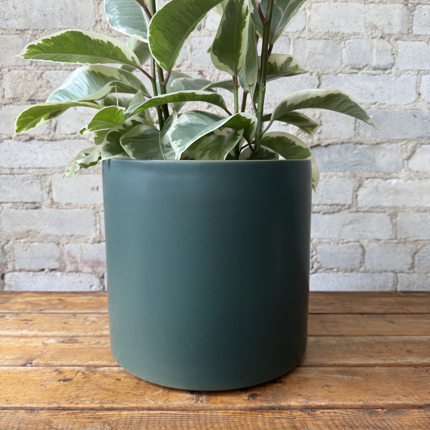 Atlas Pot (fits 10") Green