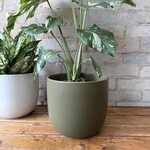 Assorted Pots Lana Pot (Fits 8") Olive