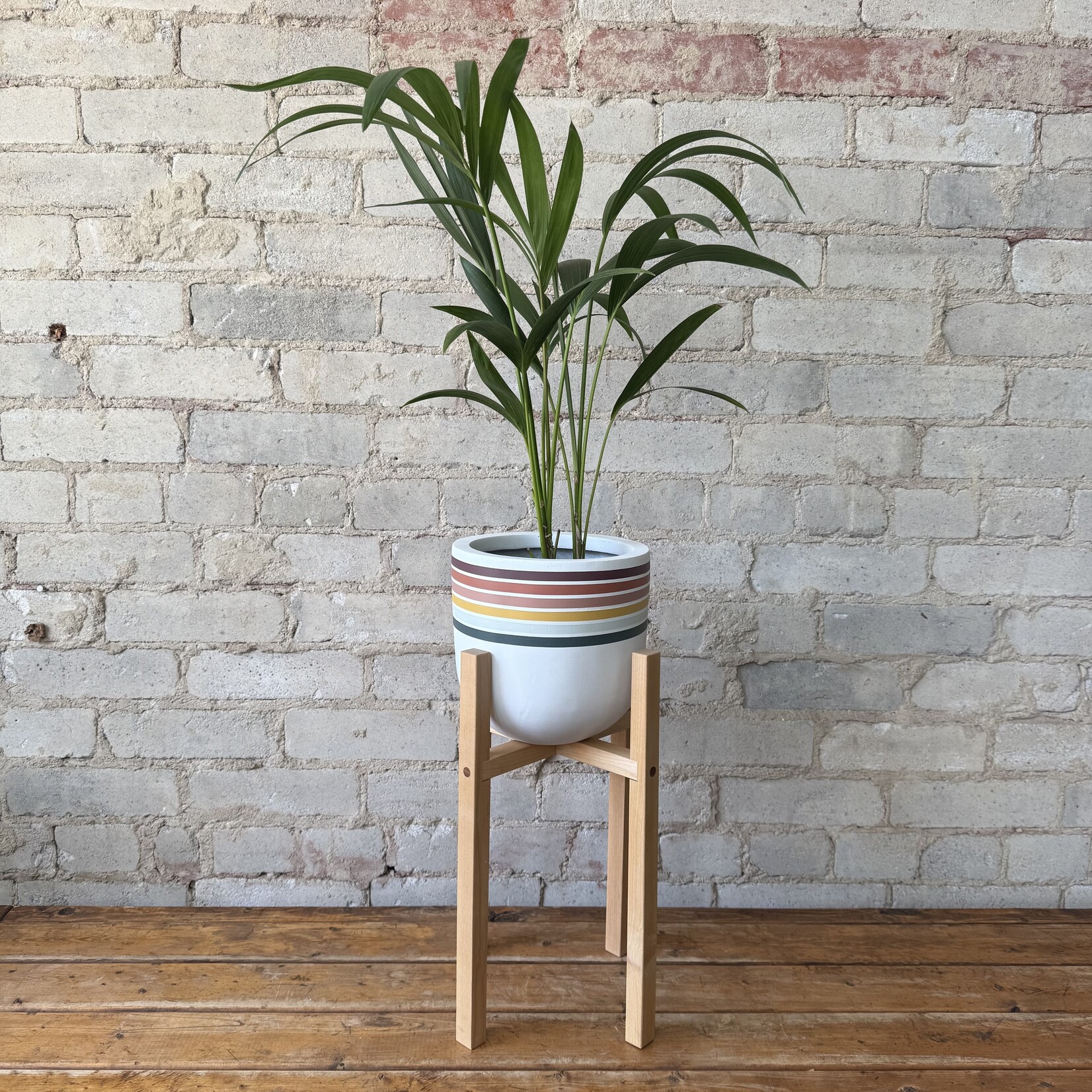 Stand by Kelly Built Maple (Inside diameter 8")