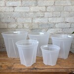 Clear Orchid Grow Pot 10.5"