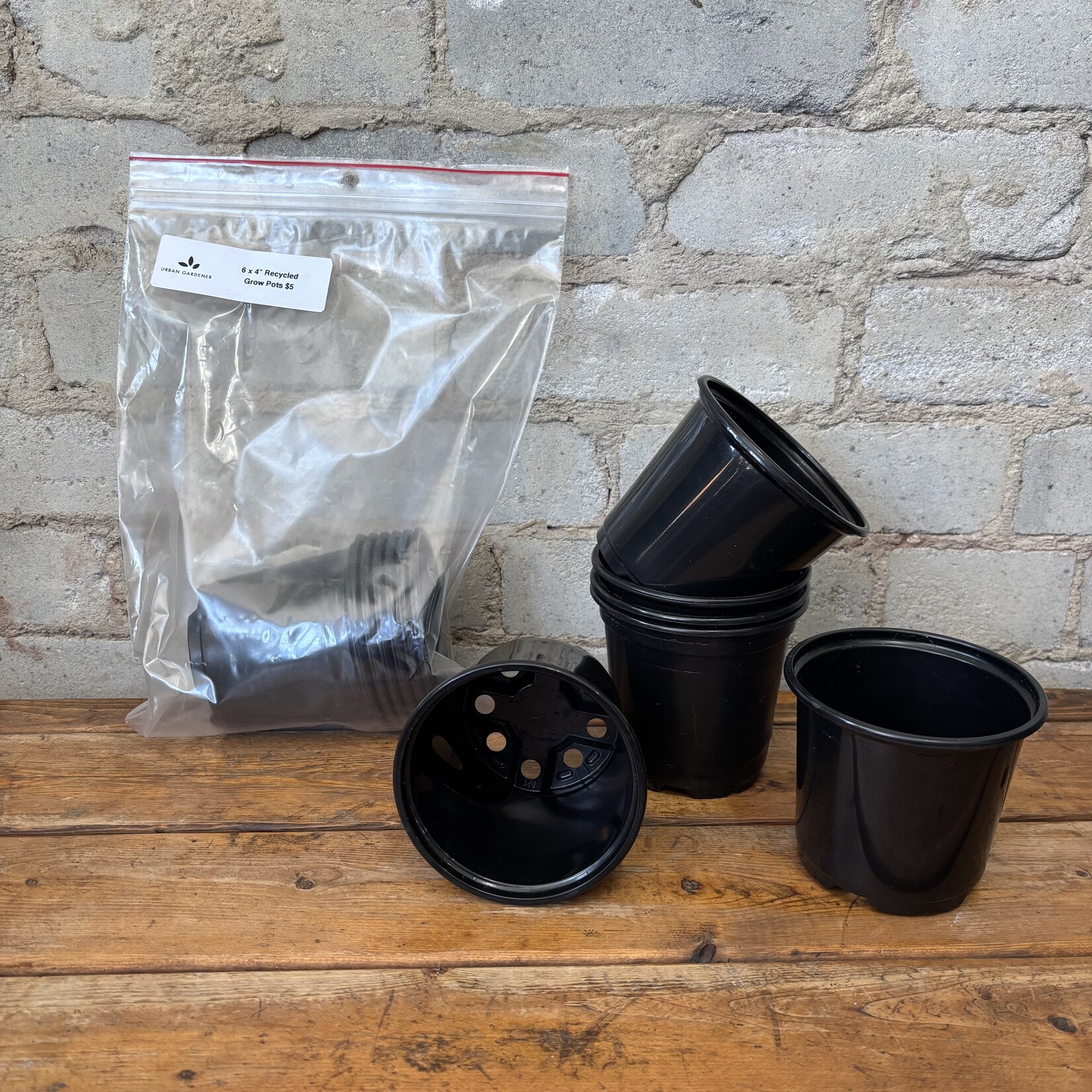 Recycled Grow Pots: Set 6 x 4"