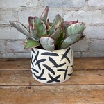 Vicky Makes Black Criss Cross 5"