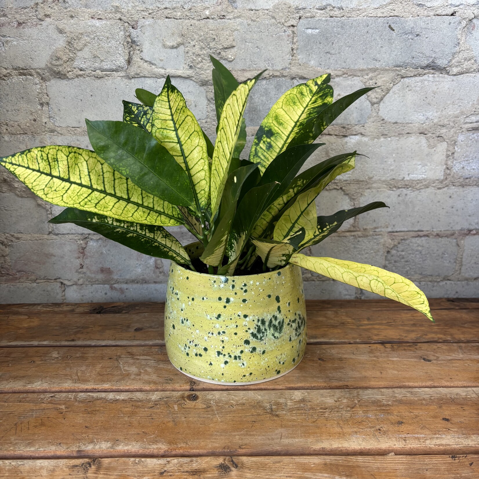 Vicky Makes Yellow Green Splatter 5"